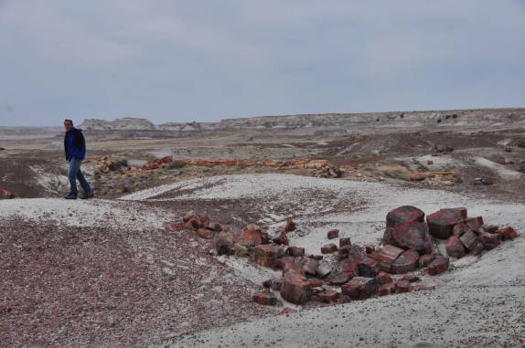 Caminhando no surpreendente Petrified Forest National Park, no Arizona - Estados Unidos